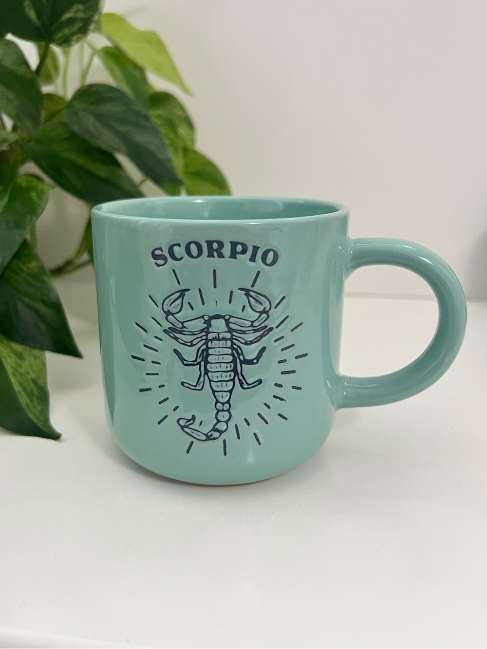 Scorpio Astrology Ceramic Mug ♏️🦂